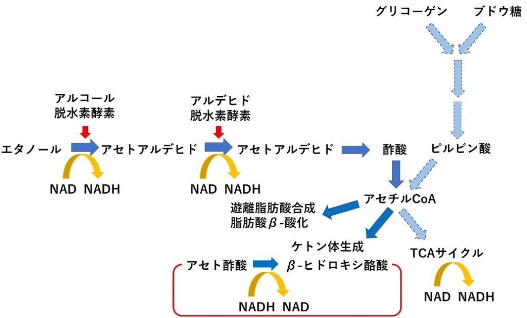 食事たべずに酒びたりで Dr Tomの徒然日記